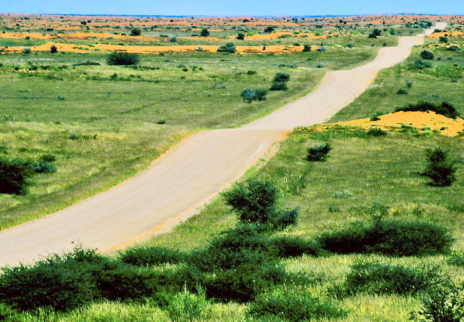 Kalahari (2006) 17